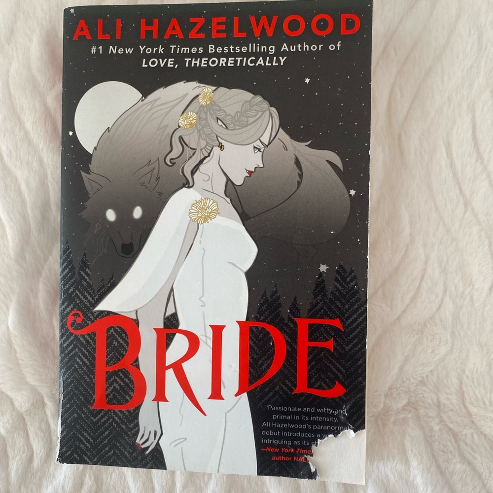 Fiction books 3 for $20
